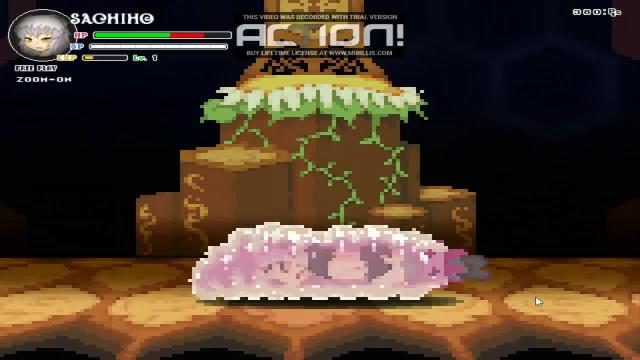 Echidna wars dx game